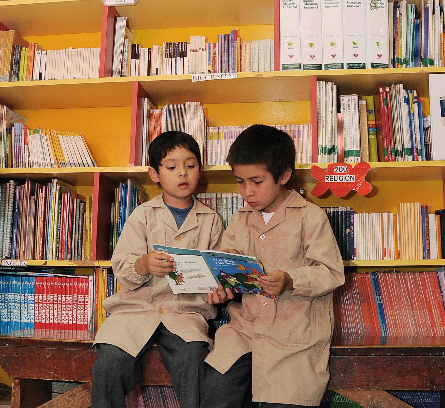 Niños estudiando con libros